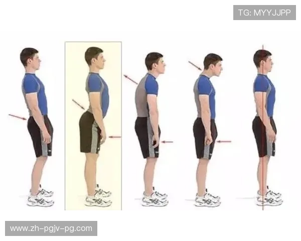 驼背人群专属健身器械从根源改善脊柱健康